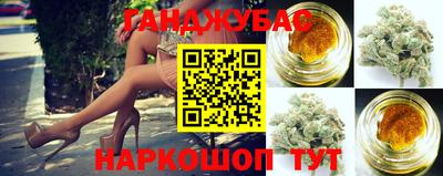 дмт Шахты
